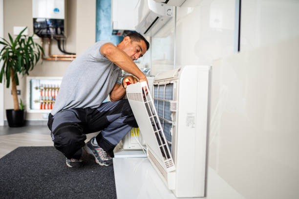 Best Air Duct Cleaning Near Me  in Wenona, IL