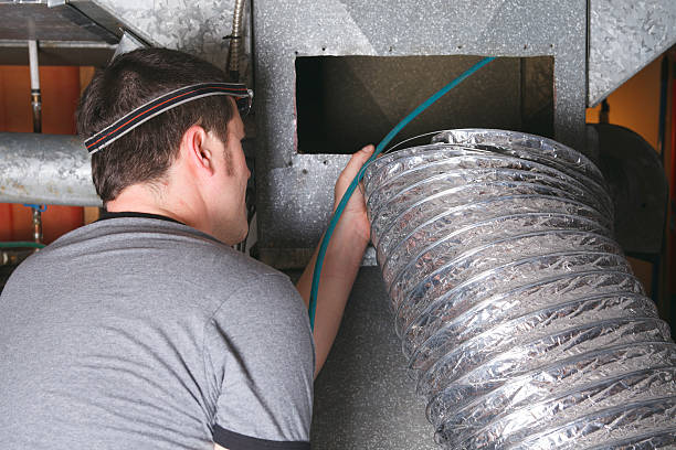 Best Ductwork Cleaning Services  in Wenona, IL