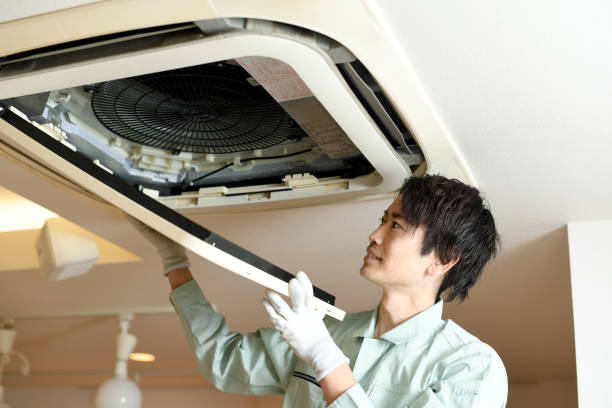 Best Local Air Duct Cleaning Services  in Wenona, IL