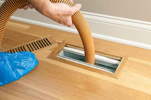 Best Commercial HVAC Duct Cleaning  in Wenona, IL