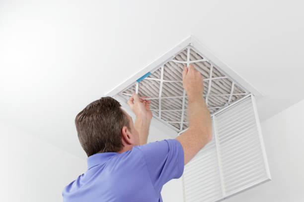 Best HVAC Maintenance and Cleaning  in Wenona, IL